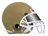 Light brown helmet