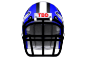 bluefox helmet