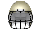 Gold Helmet
