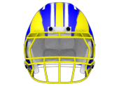 Stingers Football Helmet